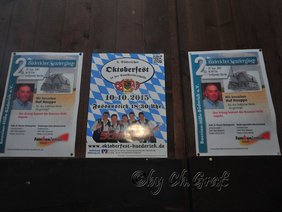 Sommerfest 2015 (133)